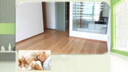 The Vermont On Cairnhill (D9), Apartment #130250452